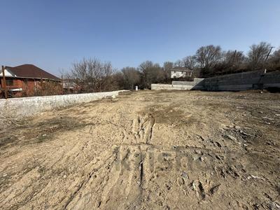 Жер телімі · 26 сотық, Бесагаш, бағасы: 58 млн ₸