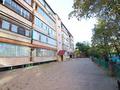 4-комнатная квартира · 200 м² · 3/5 этаж, мкр Самал-2 12 — проспект Достык за 158 млн ₸ в Алматы, Медеуский р-н — фото 22