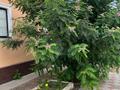 Отдельный дом · 4 комнаты · 120 м² · 14 сот., С.Жалгансай улица И.Тайманова 8а за 38 млн ₸ в  — фото 31