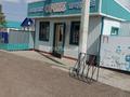 Отдельный дом · 5 комнат · 120 м² · 100 сот., Есет Кокеулы 12 — Старая улица Ленина за 27 млн ₸ в Мартуке — фото 2
