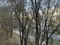 2-бөлмелі пәтер · 49.9 м² · 4/9 қабат, Сатпаева 12, бағасы: 26 млн ₸ в Усть-Каменогорске — фото 13