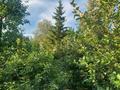 Жеке үй · 3 бөлме · 70 м² · 12 жүзд., мкр Омега, Самал 3, бағасы: 18.5 млн ₸ в Уральске — фото 7