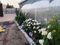 Жеке үй · 5 бөлме · 180 м² · 13 жүзд., 30лет целины 1/1, бағасы: 60 млн ₸ в Костанае — фото 46