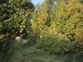 Жеке үй · 5 бөлме · 300 м² · 34 жүзд., Ауэзова 99, бағасы: 120 млн ₸ в Талдыбулаке — фото 4