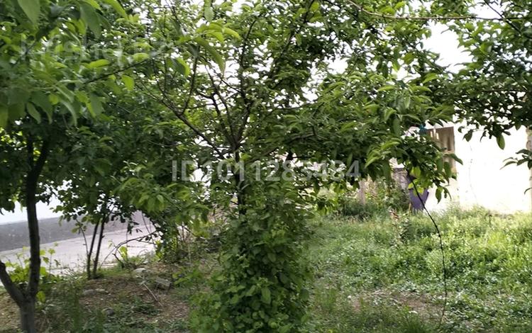 Участок · 8 соток, мкр Бозарык , Ак билек за 16 млн ₸ в Шымкенте, Абайский р-н — фото 4