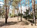 2-комнатная квартира · 53.1 м² · 1/5 этаж, Туктабаева 56 за 15.4 млн ₸ в Семее, Красный Кордон — фото 17