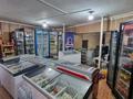 Бизнес построение · 565 м² за 130 млн ₸ в Алматы, Турксибский р-н — фото 29