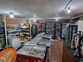 Бизнес построение · 565 м² за 130 млн ₸ в Алматы, Турксибский р-н — фото 30