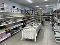 Магазины и бутики • 150 м² за 50 млн 〒 в Мартуке — фото 4