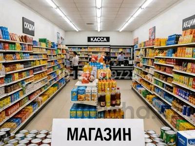 Продаётся Готовый бизнес · 110 м² за 60 млн 〒 в Астане, р-н Байконур
