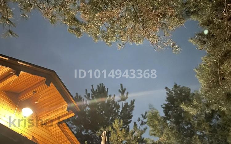 Жеке үй · 3 бөлме · 160 м², 4-ая улица 13, бағасы: 35 000 ₸ в Долане — фото 12