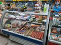 Магазины и бутики • 78.7 м² за ~ 26 млн 〒 в Риддере — фото 9
