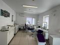 Медцентры и аптеки · 313 м² за 180 млн ₸ в Костанае — фото 10