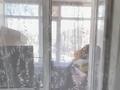 2-бөлмелі пәтер · 36.6 м² · 3/5 қабат, ЖМ Лесная поляна 1-51, бағасы: 14.5 млн ₸ в Косшы — фото 5