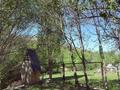 Отдельный дом · 6 комнат · 180 м² · 100 сот., Жетісу 46а за 200 млн ₸ в  — фото 21