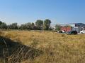 Участок · 6 соток, Маметова — Садик Амиржан за 10.5 млн ₸ в  — фото 5