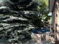 Саяжай · 4 бөлме · 100 м² · 6 жүзд., Центральная 18 — По Досмухамедова вверх, бағасы: 50 млн ₸ в Алматы, Наурызбайский р-н — фото 26