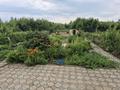Дача · 3 комнаты · 35 м² · 8 сот., Парус 39 — Городской пляж за 4.5 млн ₸ в Петропавловске — фото 5