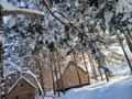 Дача · 2 комнаты · 30 м² · 9.6 сот., Лесовод 1 за 9 млн ₸ в Усть-Каменогорске — фото 4