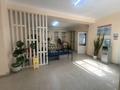 Отдельный дом · 10 комнат · 430 м² · 6 сот., Диваева 47 — Некрасова за 145 млн 〒 в Шымкенте, Аль-Фарабийский р-н — фото 2
