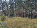 Участок · 20 га, Щербаково за 26 млн 〒 в Костанайской обл. — фото 25