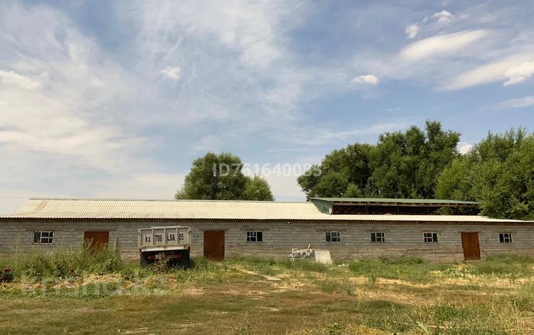 Отдельный дом · 6 комнат · 112 м² · 35 сот., Абай 52 — Село Қошқарата за 8 млн ₸ в Бауыржан Момышулы — фото 11