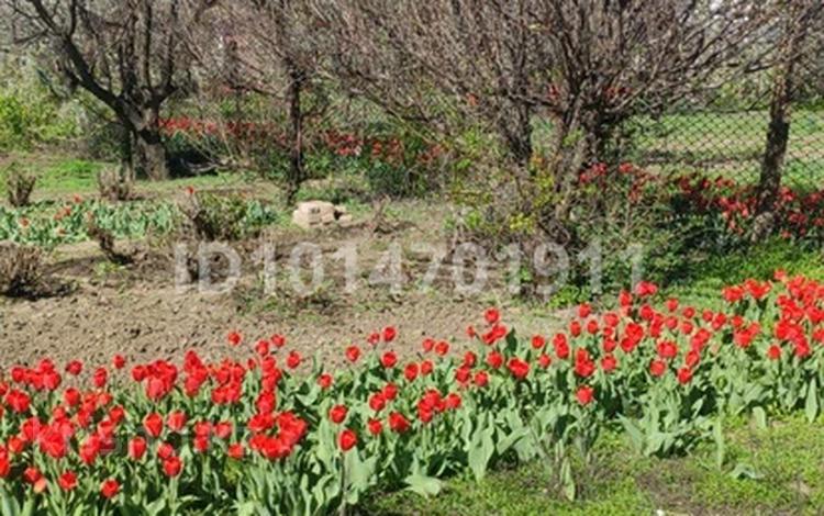 Участок · 9 соток, Темира-Масина 133 за 39 млн ₸ в Уральске — фото 3
