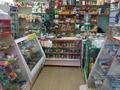 Магазины и бутики • 93 м² за 15 млн 〒 в Шульбинске — фото 5
