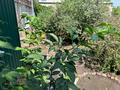 3-бөлмелі пәтер · 118 м² · 1/2 қабат, Леонова 4/4, бағасы: 36 млн ₸ в Тобыле — фото 6