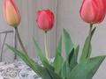 3-комнатная квартира · 70 м² · 2/3 этаж, Л.Толстого 150/1 за 16 млн ₸ в Дарьинске