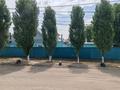 Отдельный дом · 4 комнаты · 67 м² · 67 сот., Сәкен Сейфуллин 124 — Вокзалный за 20 млн ₸ в Актобе, мкр Москва — фото 10