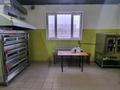 Общепит · 300 м² за 33 млн ₸ в  — фото 3