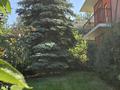Жеке үй · 5 бөлме · 160 м² · 11 жүзд., Горная, бағасы: 92 млн ₸ в Алматы, Наурызбайский р-н — фото 8