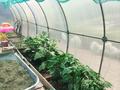 Отдельный дом · 3 комнаты · 70 м² · 6 сот., Куратова за 18.4 млн ₸ в Усть-Каменогорске — фото 6