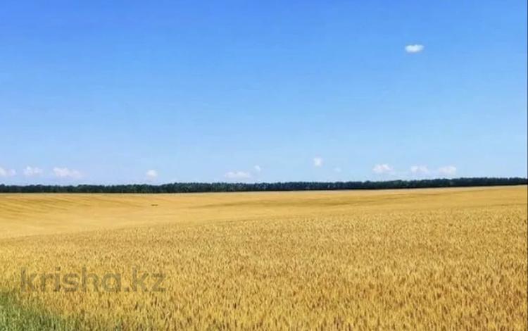 Участок · 891 га, Ерейментау за 70 млн ₸ — фото 2