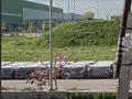1-комнатная квартира · 12 м² · 2/2 этаж, Арман 45 — Прямо за АПОРТ и за Алтын орда за 90 000 ₸ в Алматы — фото 11