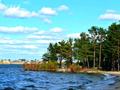Участок · 20 соток, Энергетиков 58 за 5 млн ₸ в  — фото 2