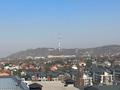 7-бөлмелі пәтер · 450 м², улица 4-ая, бағасы: 430 млн ₸ в Алматы, Медеуский р-н — фото 55