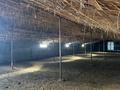 Ауыл шаруашылығы · 1852 м², бағасы: 320 млн ₸ в Таскала — фото 7