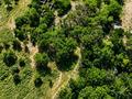 Тюркский Парк 5 гектар земли · 700 м² за 1.5 млрд ₸ в Кыргауылдах — фото 15