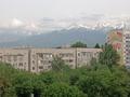 1-комнатная квартира · 48 м² · 5/9 этаж, мкр Мамыр-7 — Момышулы за 35.5 млн ₸ в Алматы, Ауэзовский р-н — фото 13