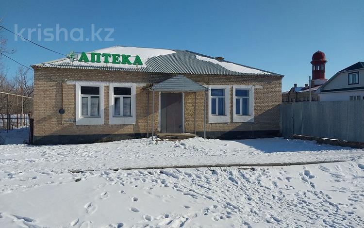 Медорталықтар мен дәріханалар · 132.4 м², бағасы: 7.5 млн ₸ в Казалинске — фото 2