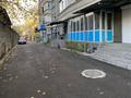 Еркін, кеңселер, дүкендер мен бутиктер, қоймалар, медорталықтар мен дәріханалар, білім орталықтары, ойын-сауық · 60 м², бағасы: 39 млн ₸ в Алматы, Алмалинский р-н — фото 9