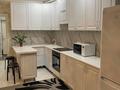 2-комнатная квартира · 55 м² · 10/23 этаж, Чингиз Айтматов 34/1 за 250 000 ₸ в Астане, Нура р-н — фото 3