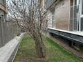 3-комнатная квартира · 86 м² · 3/3 этаж, мкр Нурлытау (Энергетик), ул. 23-я 8/3 — мкр Нурлытау за 85 млн ₸ в Алматы, Бостандыкский р-н — фото 43