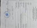 Отдельный дом · 7 комнат · 200 м² · 10 сот., Балуан Шолак 19/2 за 450 млн ₸ в Астане, Сарайшык р-н — фото 4