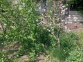 Жеке үй · 5 бөлме · 104 м² · 10.56 жүзд., Бейсеуова 107, бағасы: 22 млн ₸ в Каргалы (п. Фабричный) — фото 14