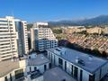 1-комнатная квартира · 47 м², мкр Самал-3 15к3 — Мендикулова за 480 000 ₸ в Алматы, Медеуский р-н — фото 13