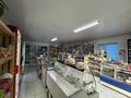 Жеке үй · 2 бөлме · 75 м² · 6 жүзд., Гагарина 34 — Курманова детский мир, бағасы: 32 млн ₸ в Талдыкоргане — фото 3