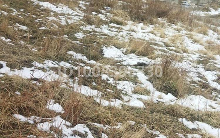 Участок · 6 соток, мкр Думан-1, Ст Асем участок за 14 млн ₸ в Алматы, Медеуский р-н — фото 2